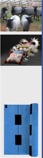 referat1.jpg